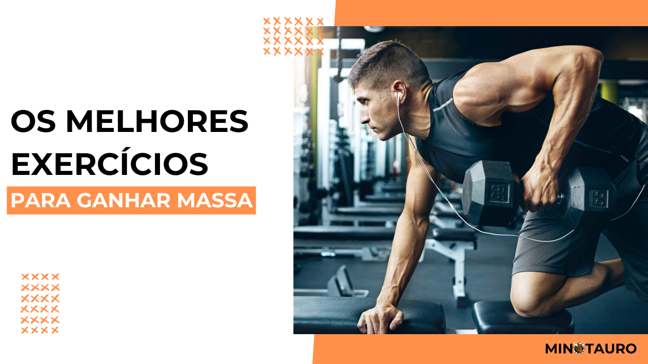 Exercícios para aumentar massa muscular